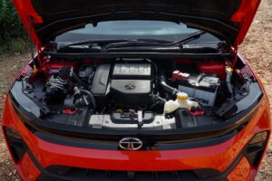 WhatsApp Image 2025 09 29 At 4.30.26 AM 300x200